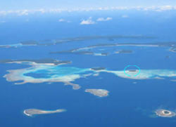 Bird Watching in Tonga