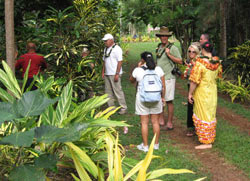 Polynesian Cultural Tour